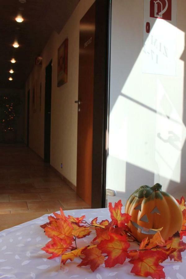 Pension Walddorf วินเทอร์แบร์ก ภายนอก รูปภาพ
