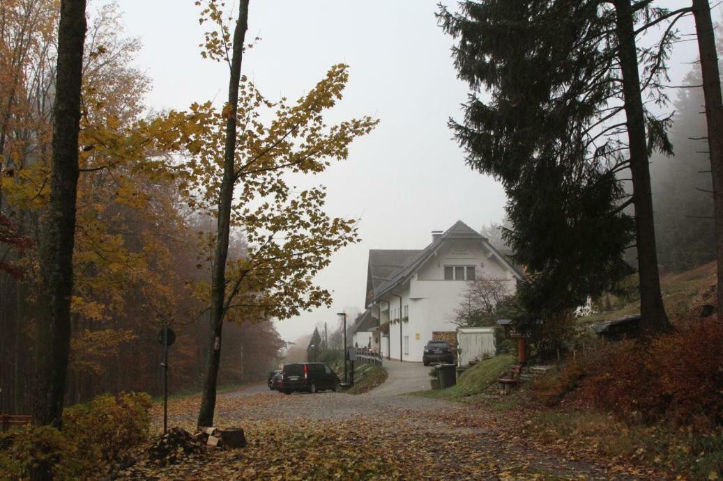 Pension Walddorf วินเทอร์แบร์ก ภายนอก รูปภาพ
